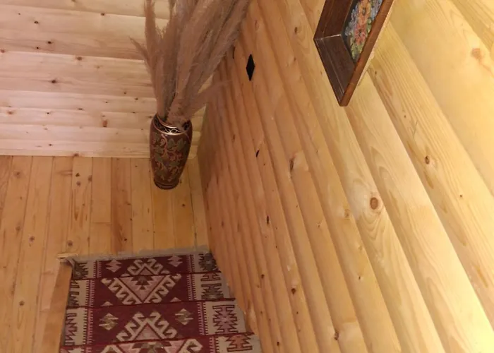 Na Dlanu סייניצה